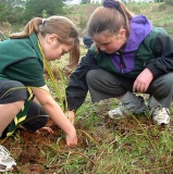 Two young helpers planting native plants along the walkway